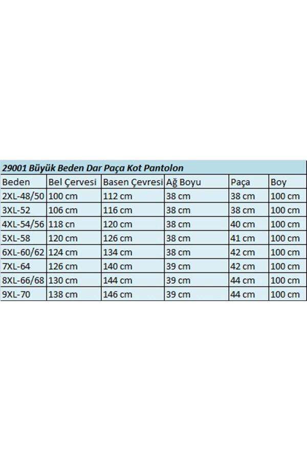 29001 Büyük Beden Dar Paça Kot Pantolon - Mavi - 2