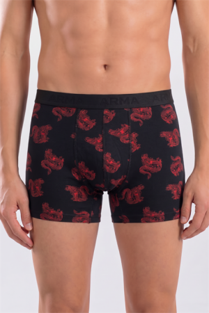 Erkek Desenli Boxer 10'lu Paket Pamuklu Likralı Yumuşak ve Esnek Kumaş - 3