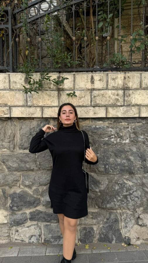 Kadın Uzun Kollu Balıkçı Yaka Kısa şardonlu Kaşkorse Elbise - 5