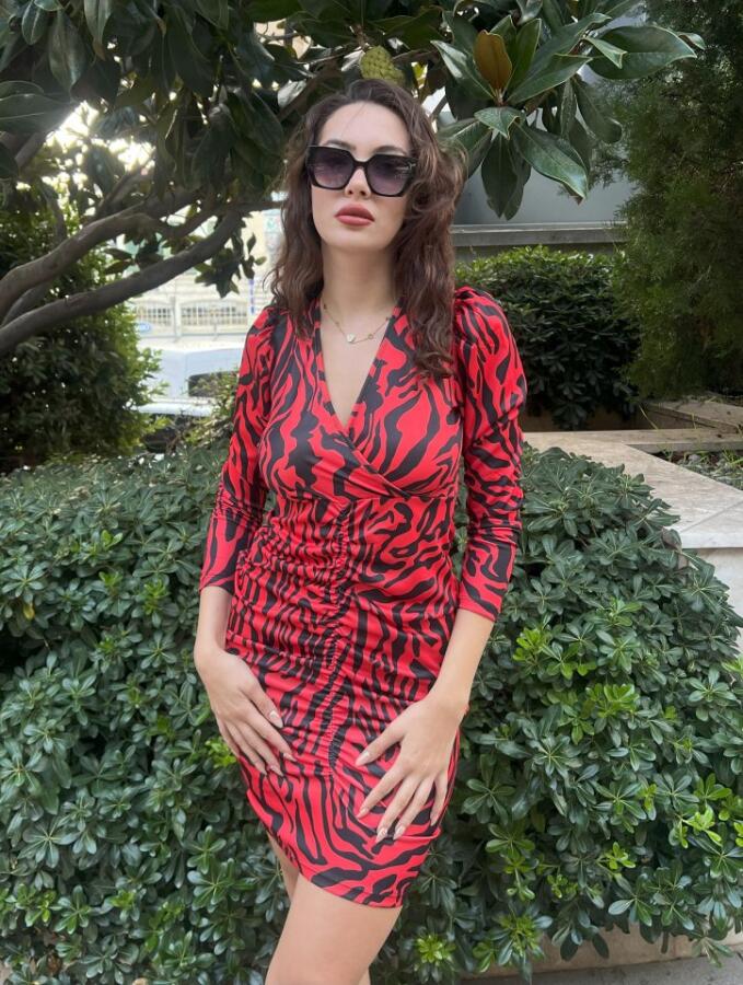 Kadın Uzun Kollu Kruvaze Yaka ön Kısım Büzgülü Zebra Desen Dalgıç Elbise - 1