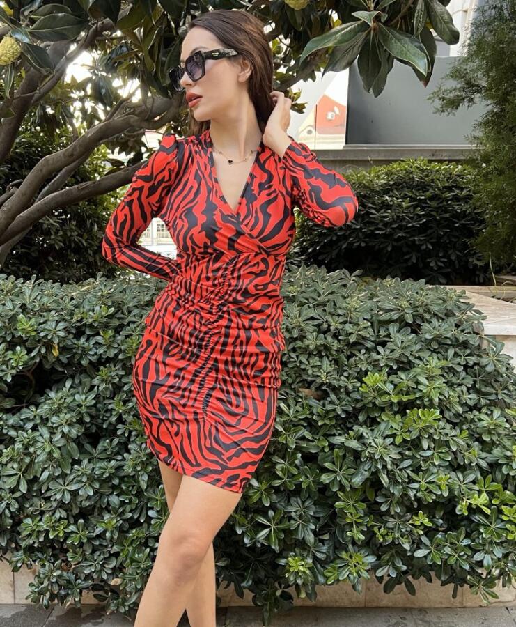 Kadın Uzun Kollu Kruvaze Yaka ön Kısım Büzgülü Zebra Desen Dalgıç Elbise - 4