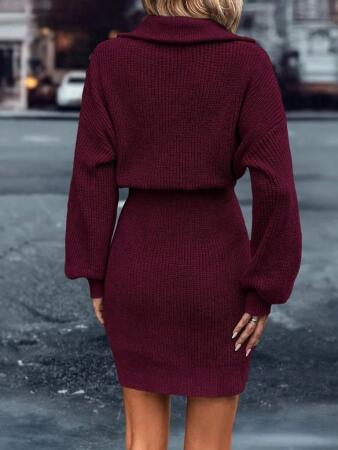 Kadın Uzun Kollu Yakası Fermuarlı Mini Triko Elbise - 4
