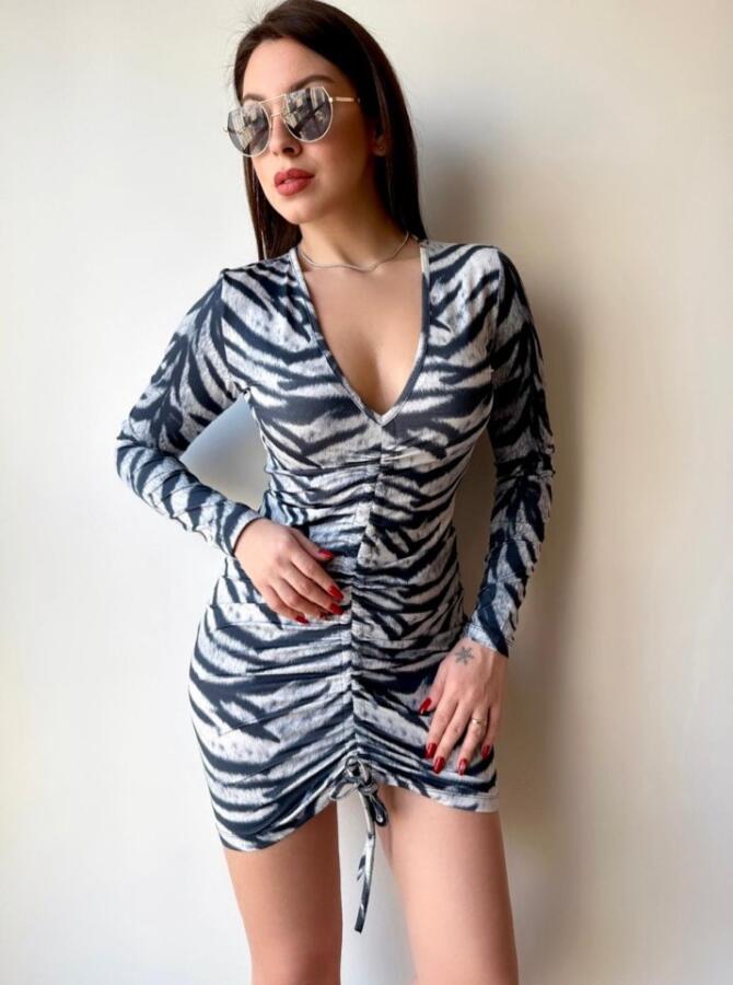 Kadın V Yaka önü Asansör Büzgü Detay Fırsat ürün Zebra Mini Elbise - 3