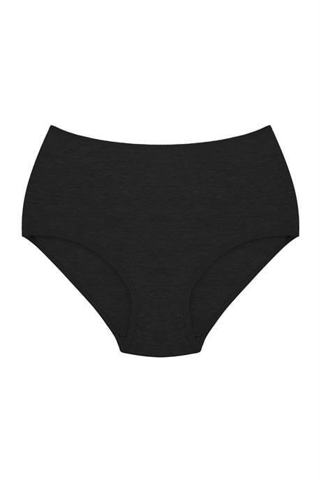 Kadın Yüksek Bel Pamuklu Slip Külot 3'lü Paket Renkli Esnek Kumaş - 2