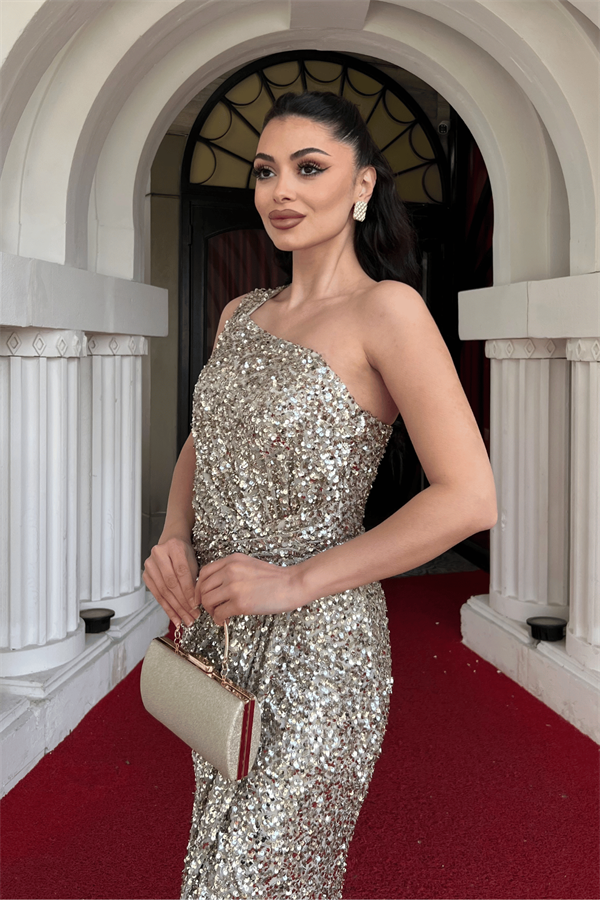 Payet Kumaş Tek Kol Kalem Elbise - GOLD - 3