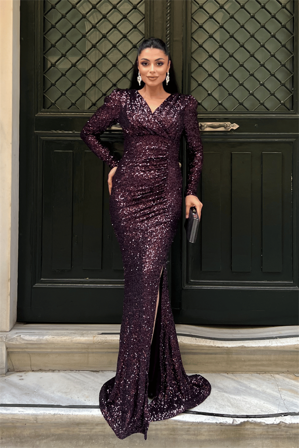 Pul Payet Kumaş Kruvaze Yaka Balık Elbise - PATLICAN MOR - 1