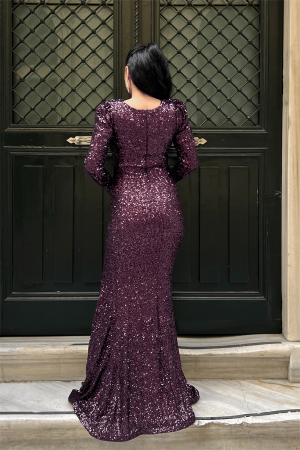 Pul Payet Kumaş Kruvaze Yaka Balık Elbise - PATLICAN MOR - 5