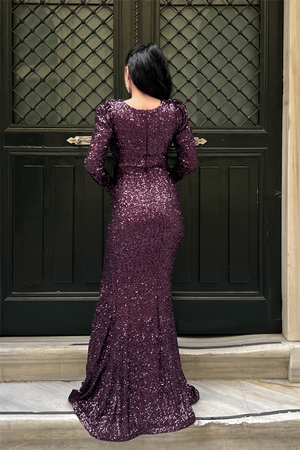 Pul Payet Kumaş Kruvaze Yaka Balık Elbise - PATLICAN MOR - 5