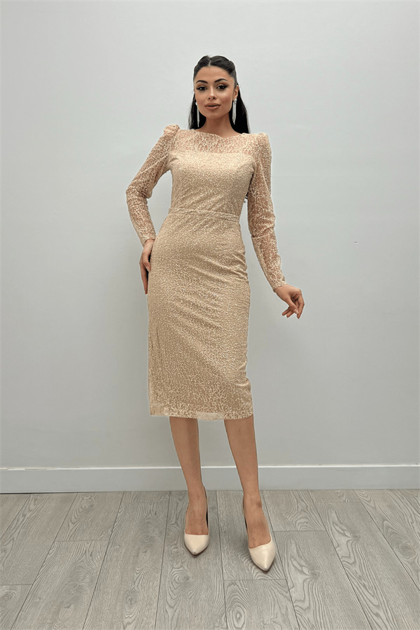 Simli Tül Kumaş Yuvarlak Yaka Kalem Elbise - VİZON - 1